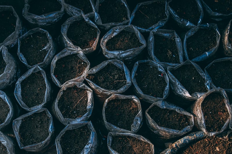 Earth Grounding